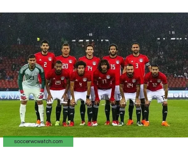 世界杯赛场精彩预测与体育竞猜策略全面解析